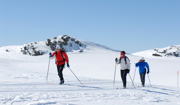 Voyage ski de fond / ski nordique - La Piste de Peer Gynt