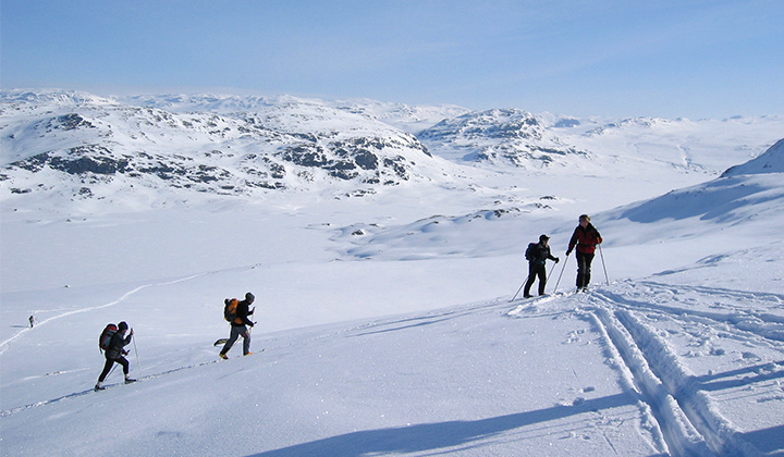 Voyage ski de fond / ski nordique - De Finse au Filefjell