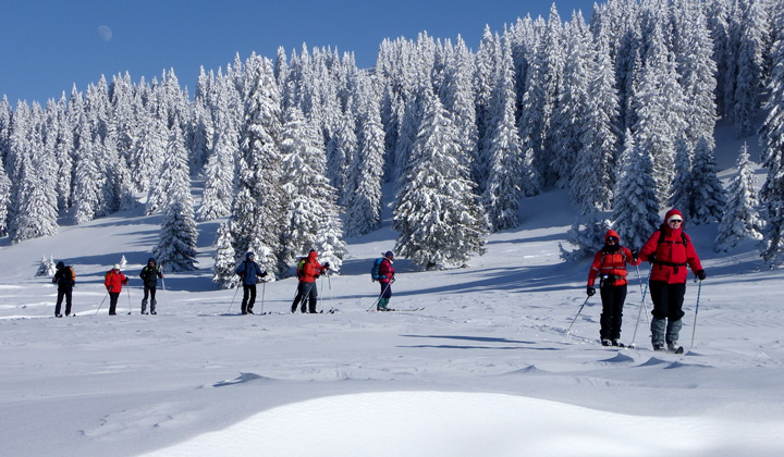Voyage à la neige : Les Crêtes du Jura franco-suisse