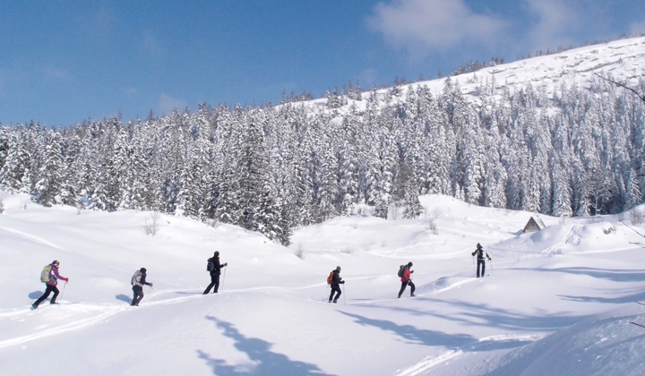 Voyage ski de fond / ski nordique - Les Crêtes du Vercors Nord