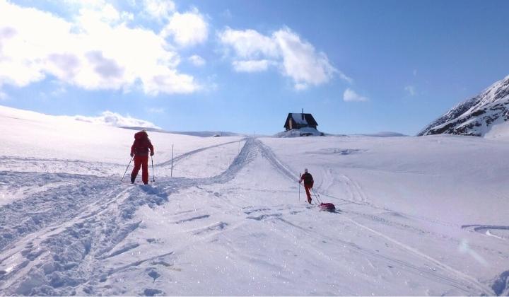 Skieurs de randonnée nordique et pulka sur la Piste Royale en Suède