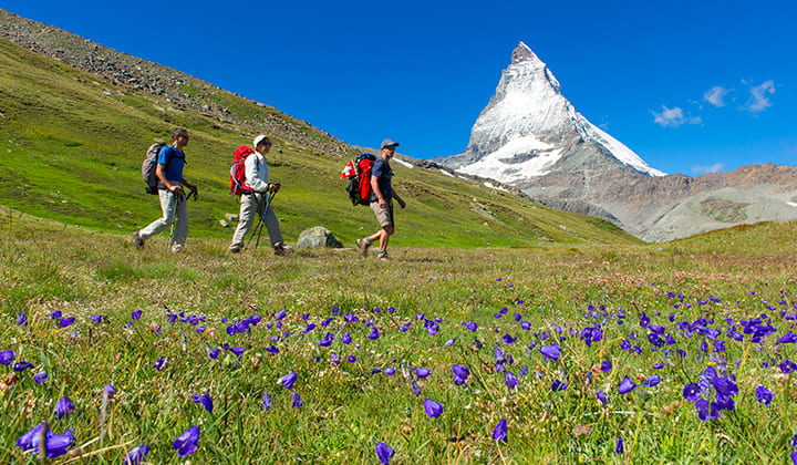 Trek - Tour du Cervin