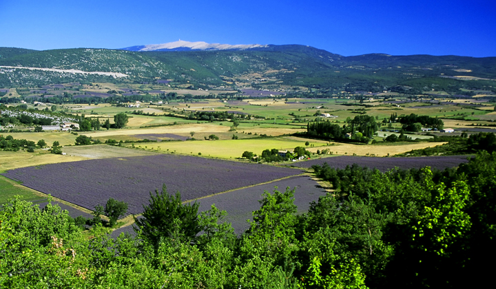 Voyage à vélo - Le Tour du Ventoux