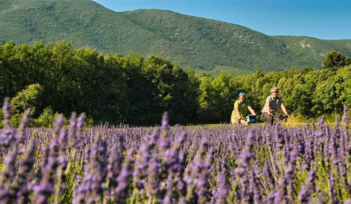 Voyage à vélo - Tour du Lubéron à vélo