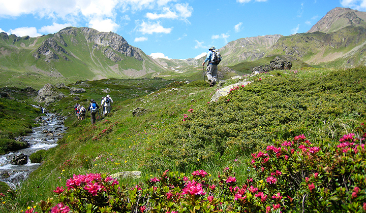 Trek - Traversée du Grand Paradis