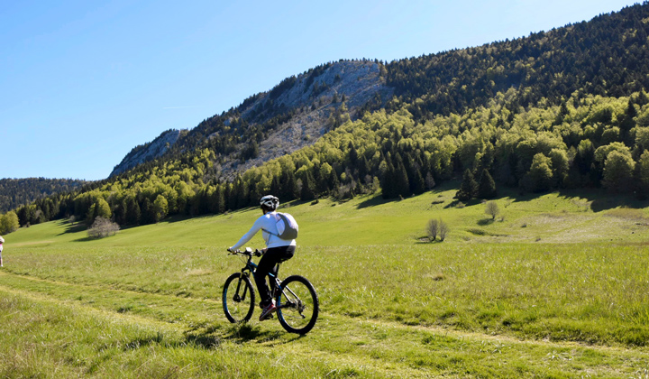 Voyage à vélo - Alpes du Nord : Vercors découverte à VTT électrique