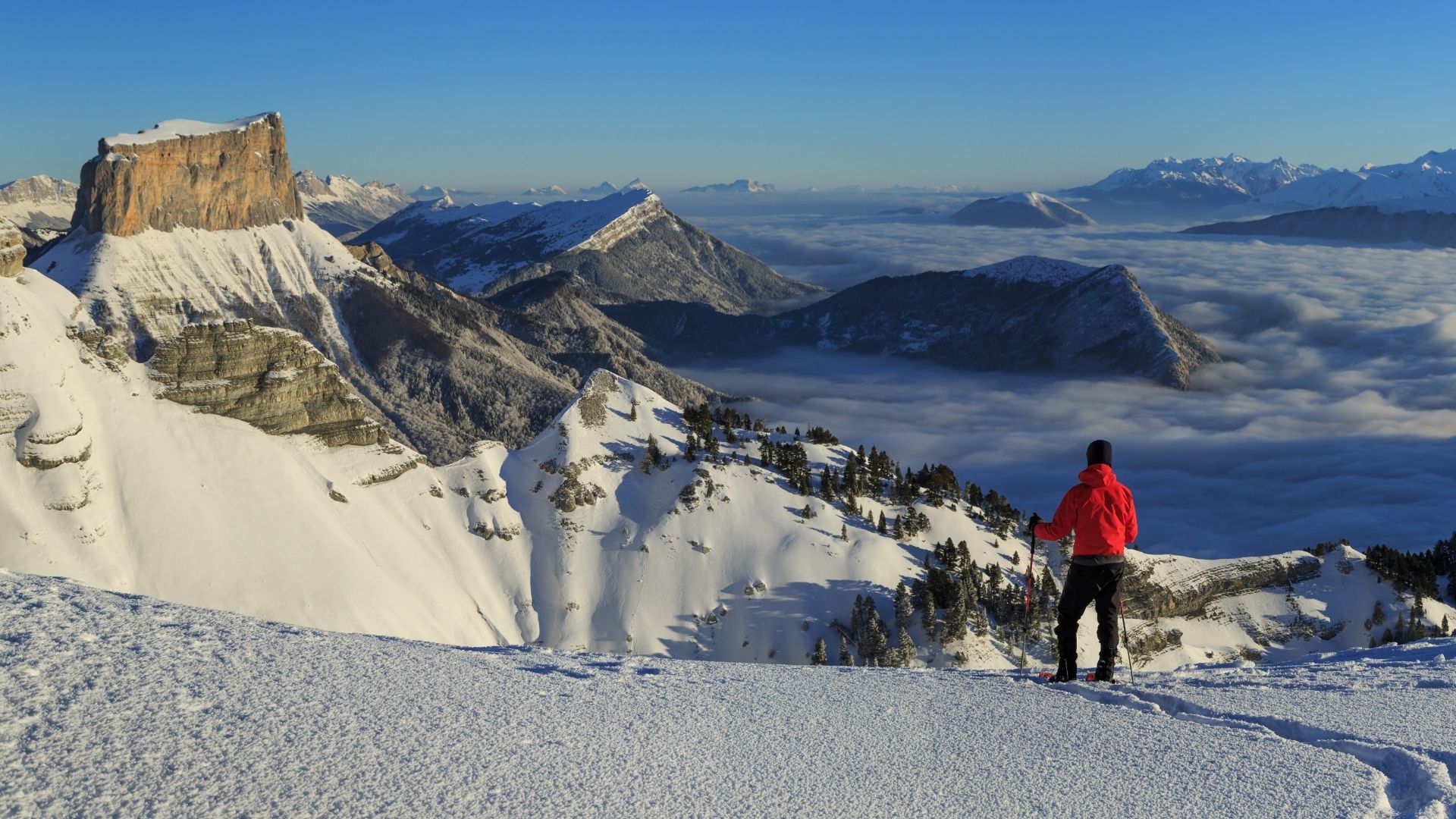 Voyage en raquette - Réveillon en Vercors, dans la vallée des loups