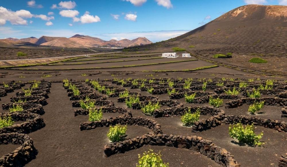 Trek - Lanzarote, l\'île des couleurs