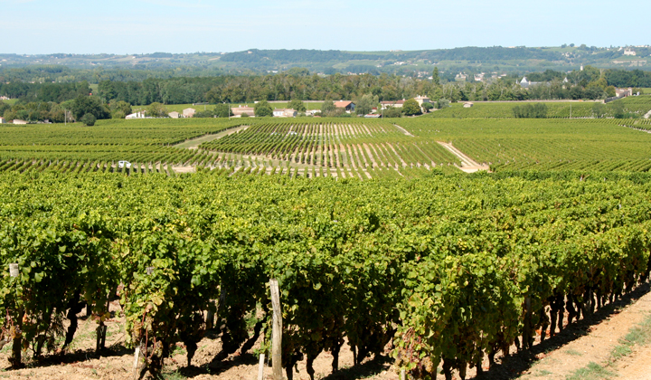 Voyage à vélo - Des vignes à l\'océan