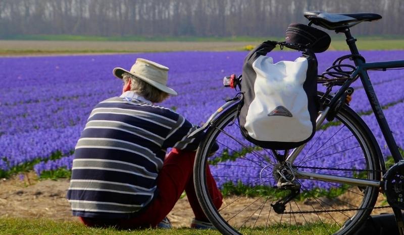 Vélo tout chemin (VTC) près des fleurs en Hollande