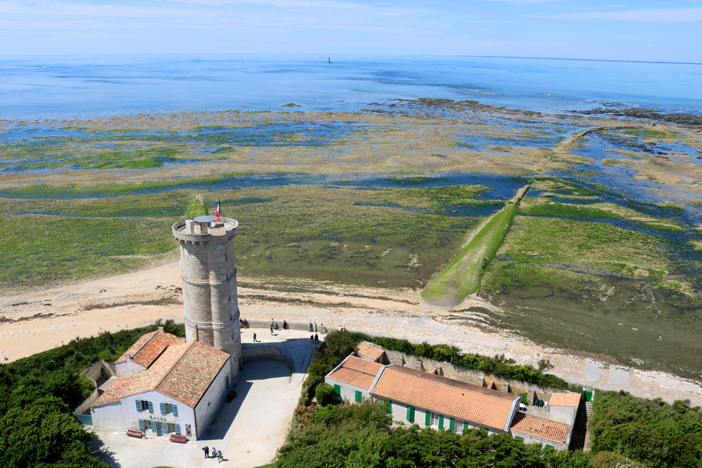 Vue sur l’océan depuis le Phare des Baleines © Florian Calvat