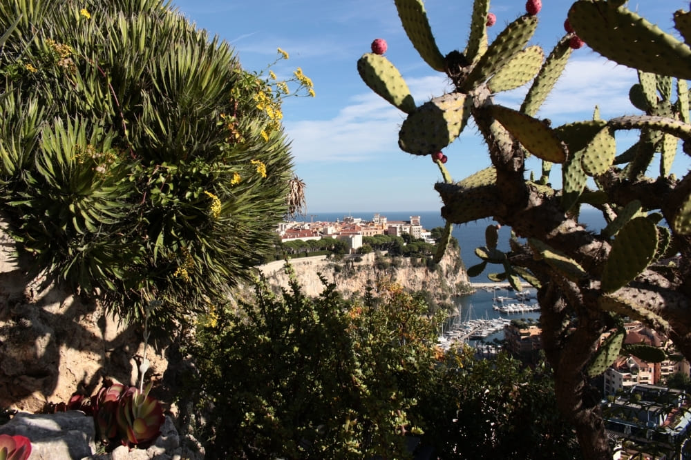 Vue rocher Monaco depuis jardin © Angelique Saget